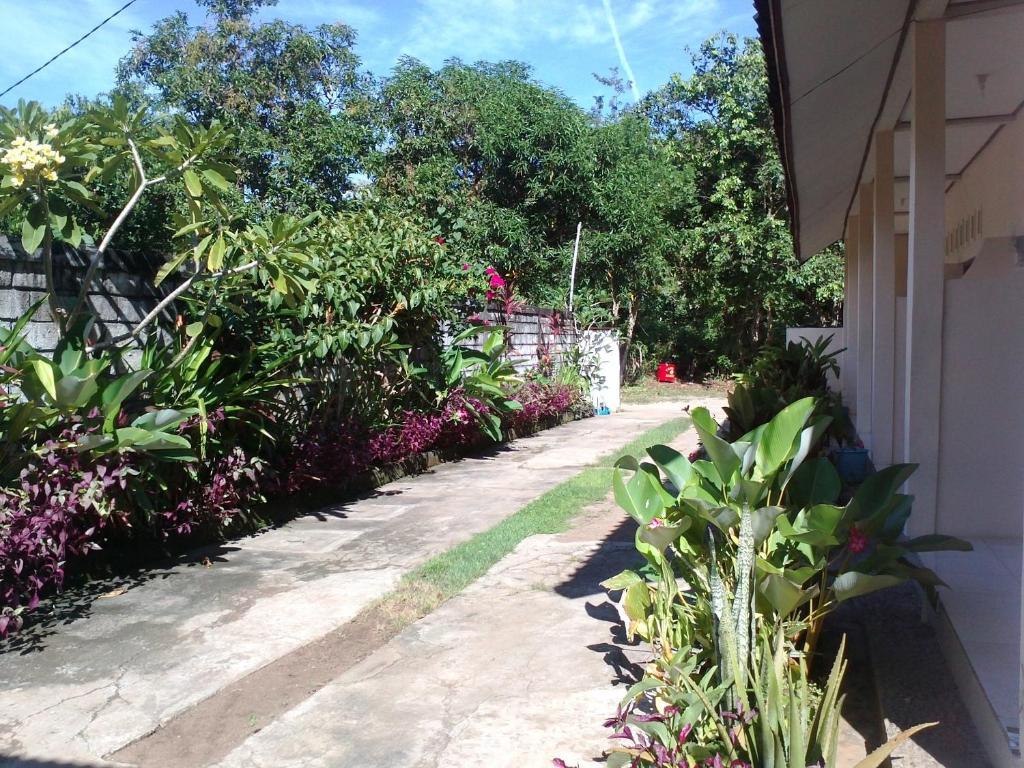 Bali Natural Homestay Jimbaran  Luaran gambar